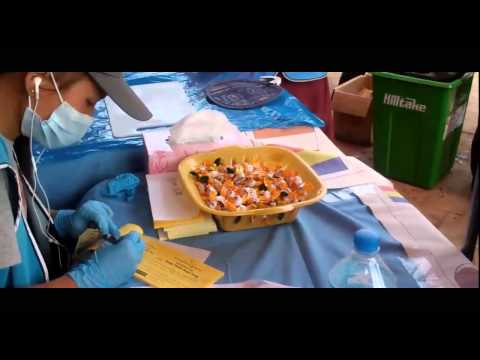 Help Nepal Kopan monastery