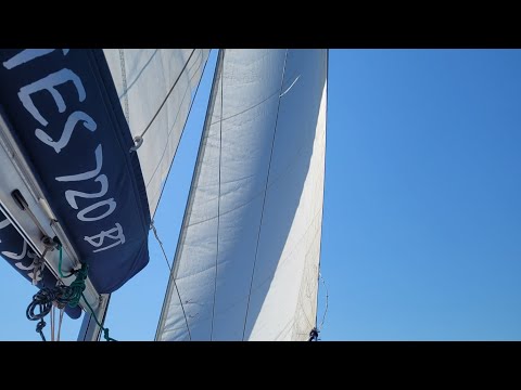 Pregi e difetti di una barca a vela di 7 metri. Tes720 BT Tes yacht