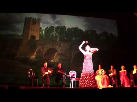 Musical meets Opera4 - Seguidilla der Carmen