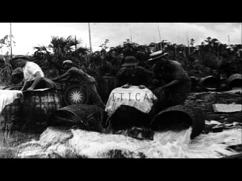 US Senator William Edgar Borah tells fellow legislators "enforcement system is de...HD Stock Footage