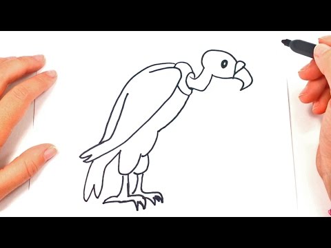 How to draw a Vulture for kids | Vulture Drawing Lesson