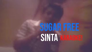 Sugarfree - Sinta