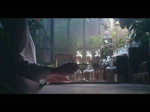 download lagu mp3 mp4 Chaumet Hortensia, download lagu Chaumet Hortensia gratis, unduh video klip Chaumet Hortensia