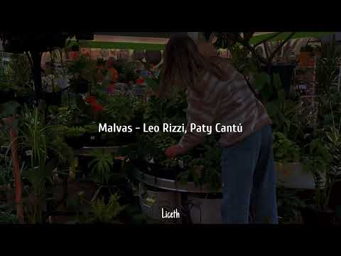 MALVAS - Leo Rizzi, Paty Cantú (Letra)