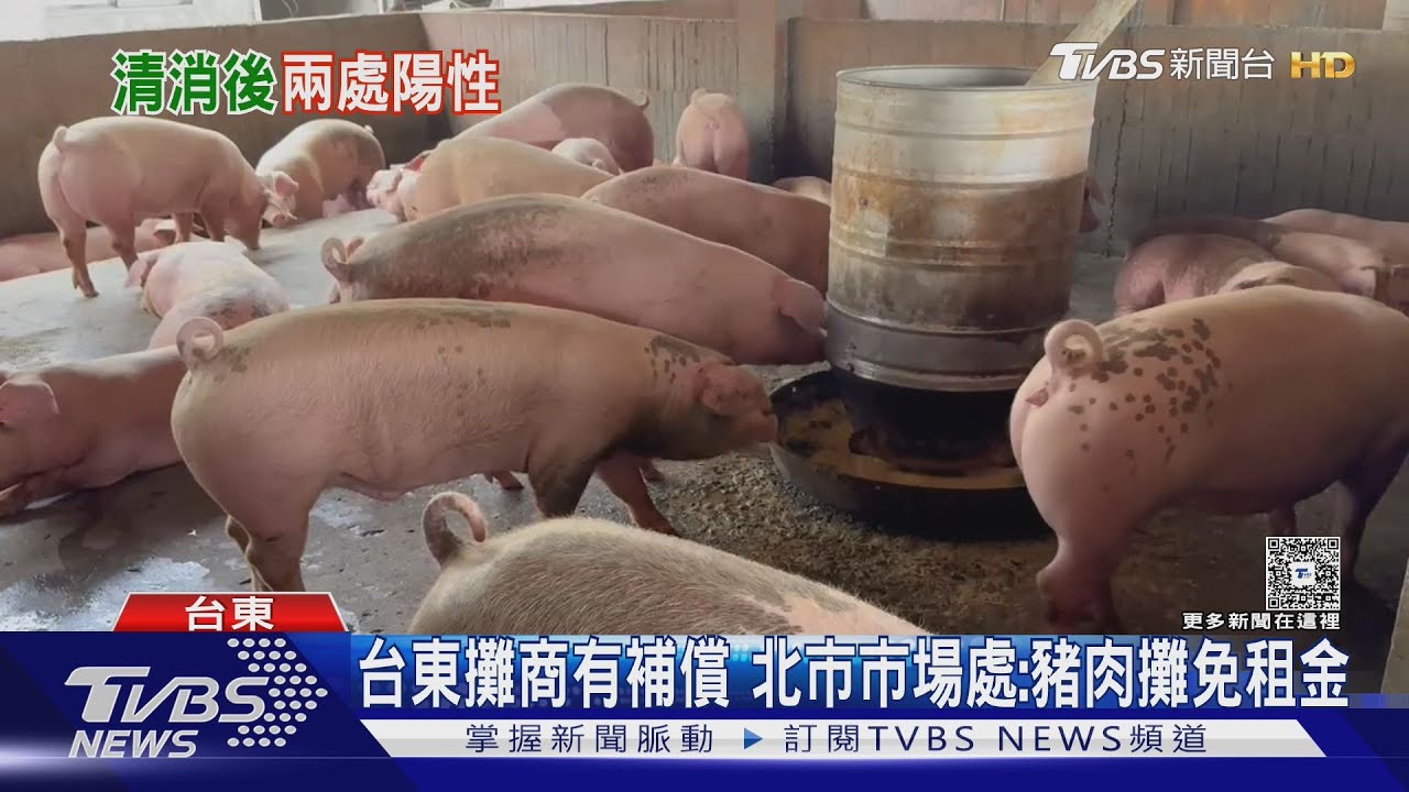 台中豬瘟案場2處仍陽性 豬肉攤苦撐 陳時中:補償將從受損時間起算