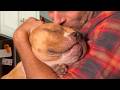 Blind Rescue Dog Has Sweetest Reaction Every Time Her Favorite Human Says I Love You