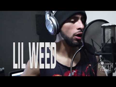 SOUTH FELLAZ IN LIVE - LIL WEED / NO QUIERO GRUPIS