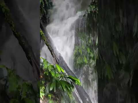 Anorí, Antioquia, Espectacular Cascada 😍 #viajes #travel #colombia #nature #runner