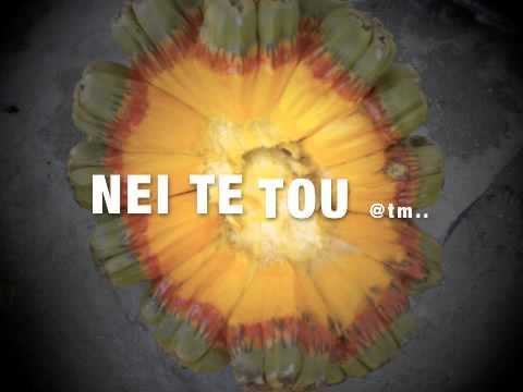 NEI TE TOU - Kiribati@tm..