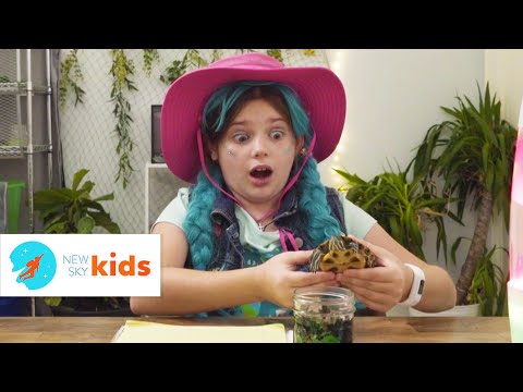 High Top Princess - Turtle Disaster!