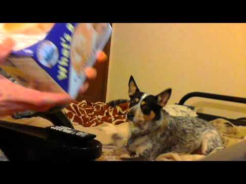 for the millions of ex new yorkers i found bialys and pretzels look!