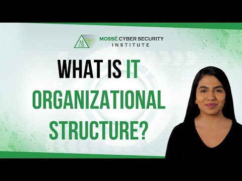 What is IT Organizational Structure?