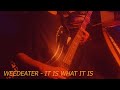 it is what it is | weedeater bass cover