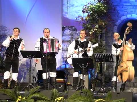 Modrijani & Mladi Dolenjci & Ans. Braneta Klavžarja-Venček uspešnic (v živo)