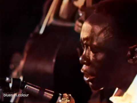 John Lee Hooker - 'Serves Me Right To Suffer' live [Colourised] 1969