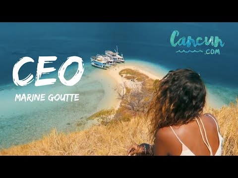 CEO Cancun - Marine Goutte