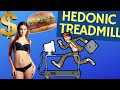 The Hedonic Treadmill and how to escape it! (Theory and Definition)