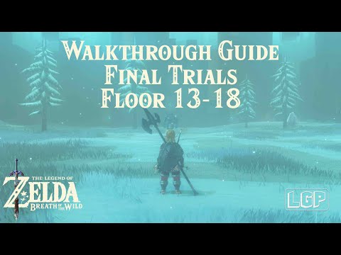 Breath of the Wild | EX Trial of the Sword [DLC] Final Trials Guide 13-18