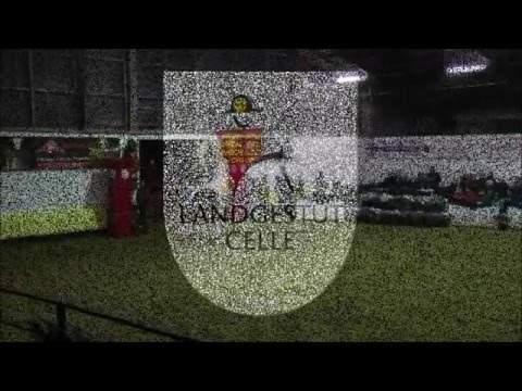 Livaldon auf dem Dobrock 2016