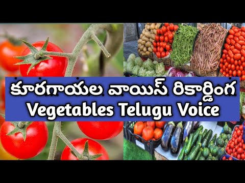 కూరగాయల వాయిస్ రికార్డింగ  vegetables selling voice in telugu..