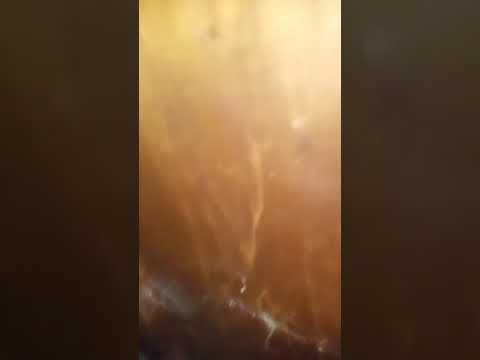 Dude shows his super sketchy apartment