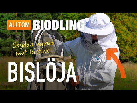Bislöja för biodlare - Skydda huvud mot bistick | Biodling