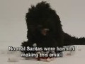 MJM Christmas 2003
