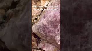 Our Rose Quartz Mine in California! #crystals #gems #rock #jewels #pink #mining #crystal