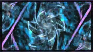 Hot Vibes - Club Des Belugas