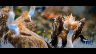 Keny Arkana - Jeunesse du monde -