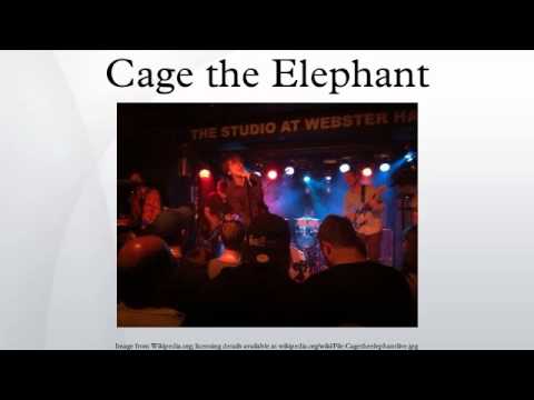 Thumbnail for Cage the Elephant by Matt Shultz