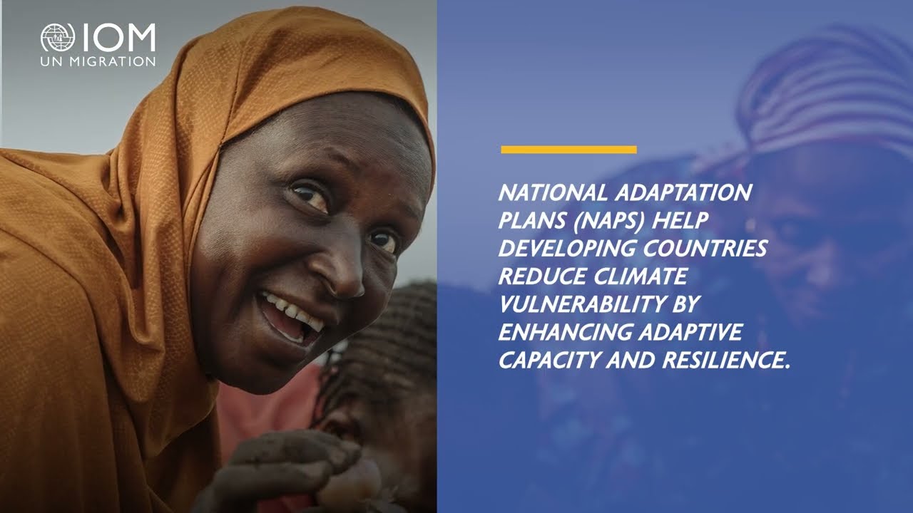 Mainstreaming Human Mobility into National Adaptation Plans