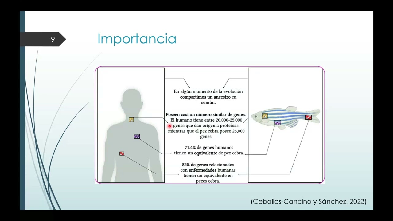 Consecuencias del uso de plaguicidas en la descendencia del pez cebra y su importancia como modelo b