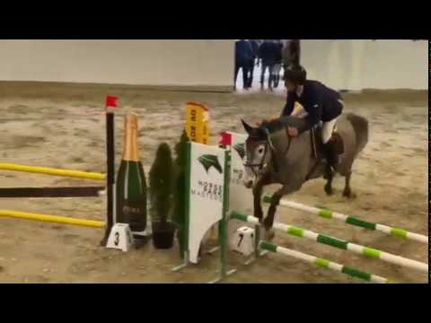 Clarimo x Corofino Stute Holst.