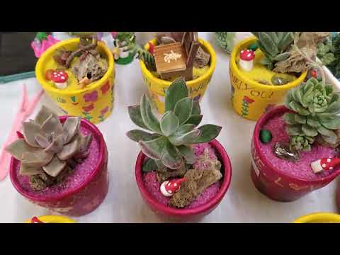 Annual Flowers Show Sea View Karachi 2023