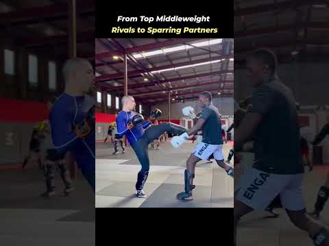 From Rivals to Friends The Evolving Dynamics of Respect in MMA