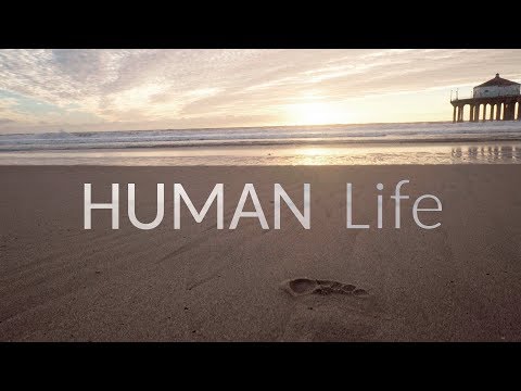 Human Life - Trailer 1