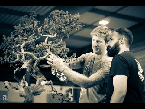 European Bonsai San Show at Sailieu (France)