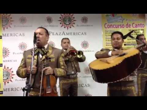 Mariachi Perla Tapatia de Houston,TX- El Jaliscience