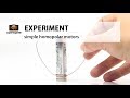 DIY Experiment How To Make A Simple Homopolar Motor