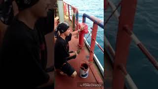 Download lagu Video ngakak Pelaut lucu yg di sakiti mp3 Download lagu Video ngakak Pelaut lucu yg di sakiti mp3