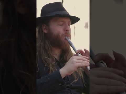 irish Folk played by Fabian Zechmeister - Two Jigs and a Reel