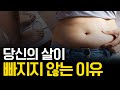 덜 먹고 운동도 했는데 다이어트에 실패하는 '진짜' 이유