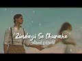 Zindagi Se Churake [Slowed+Reverb]  Shafaqat Ali