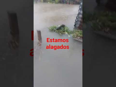 Estamos alagados em tabatinga amazonas