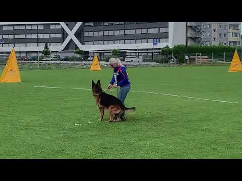 Usher aus der Brunnenstraße