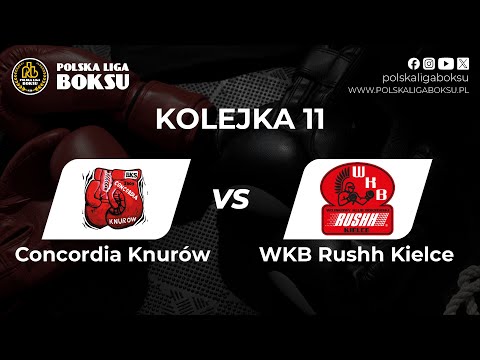11. Kolejka POLSKA LIGA BOKSU -  Concordia Knurów - WKB Rushh Kielce
