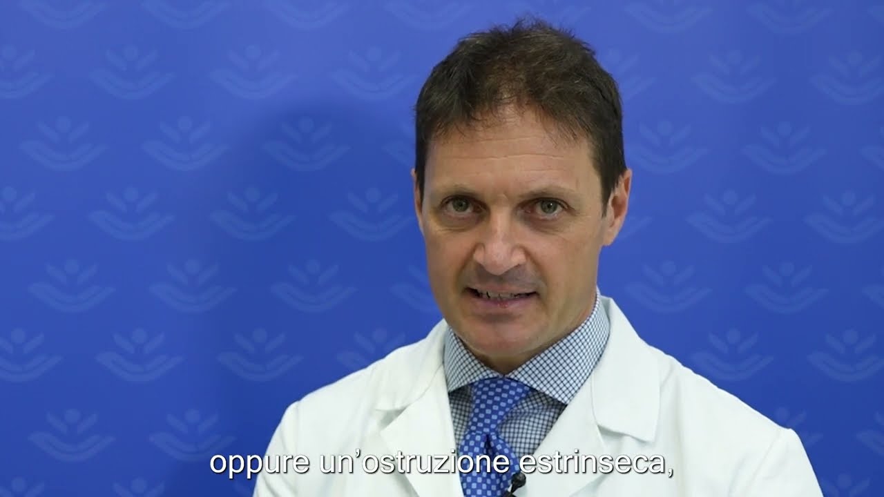 https://www.youtube.com/embed/dHFiuoSY99s
