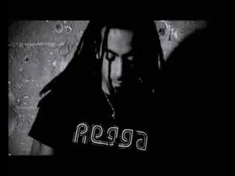 Like Animals - Shi 360