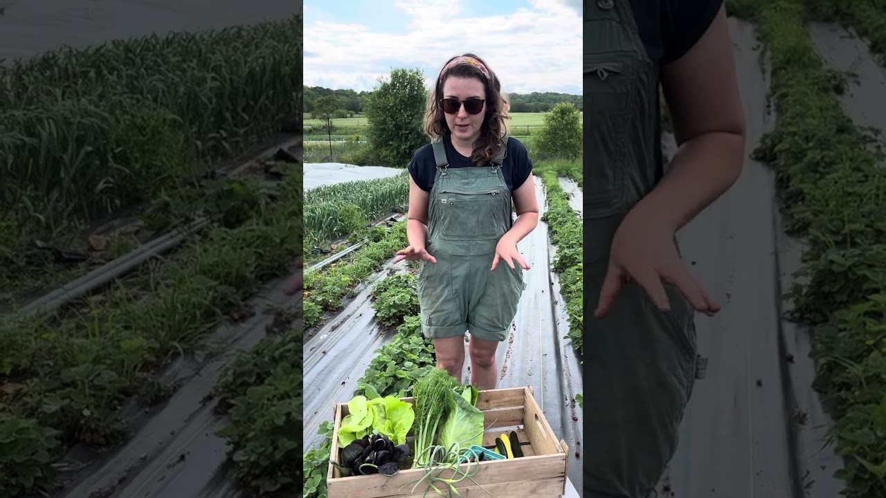 Spring CSA Week 10 2024